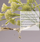 كافيين 5٪ + مصل أنجليكا